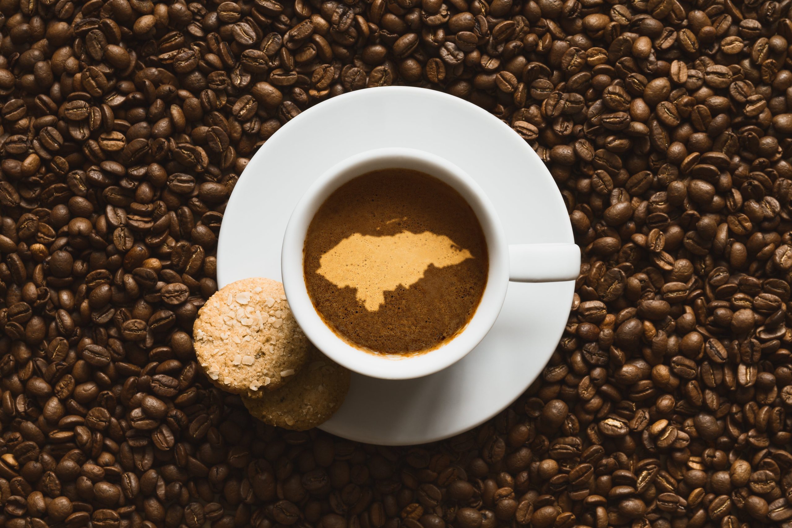 Honduras_coffee_cookie_e216d7b3-f346-4245-925d-276a10cd550d-scaled-1.jpg